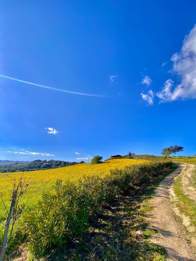 San Leonardo Country House Calangianus エクステリア 写真