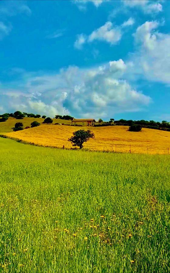 San Leonardo Country House Calangianus エクステリア 写真