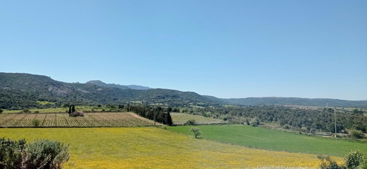San Leonardo Country House Calangianus エクステリア 写真